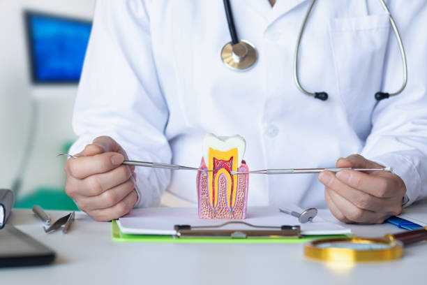 Best Emergency Dental Care for Trauma or Injury in Victoria, VA